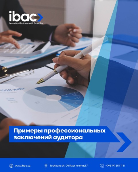 Примеры профессиональных заключений аудитора